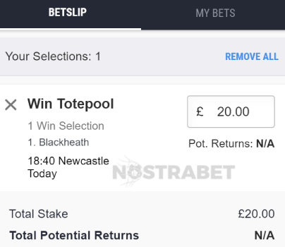 tote betting horse racing betslip